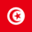 Flag for Tunisia